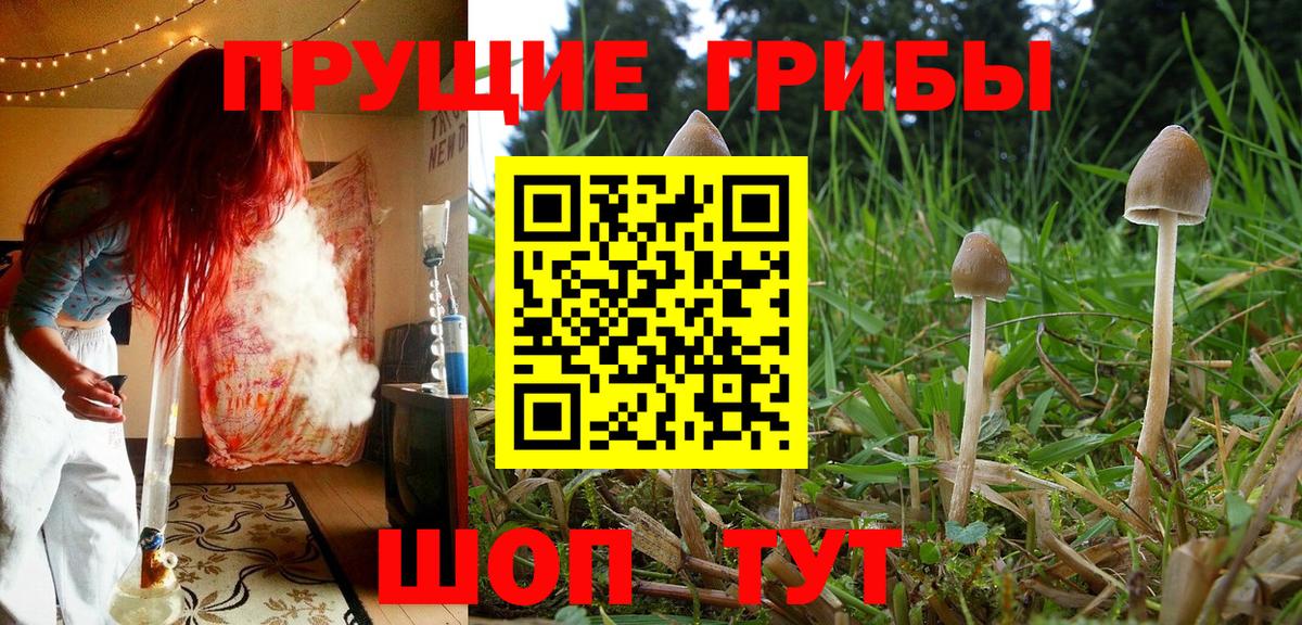 Галлюциногенные грибы MAGIC MUSHROOMS  Псилоцибиновые грибы ЛСД  Вход с VPN  Сатка 