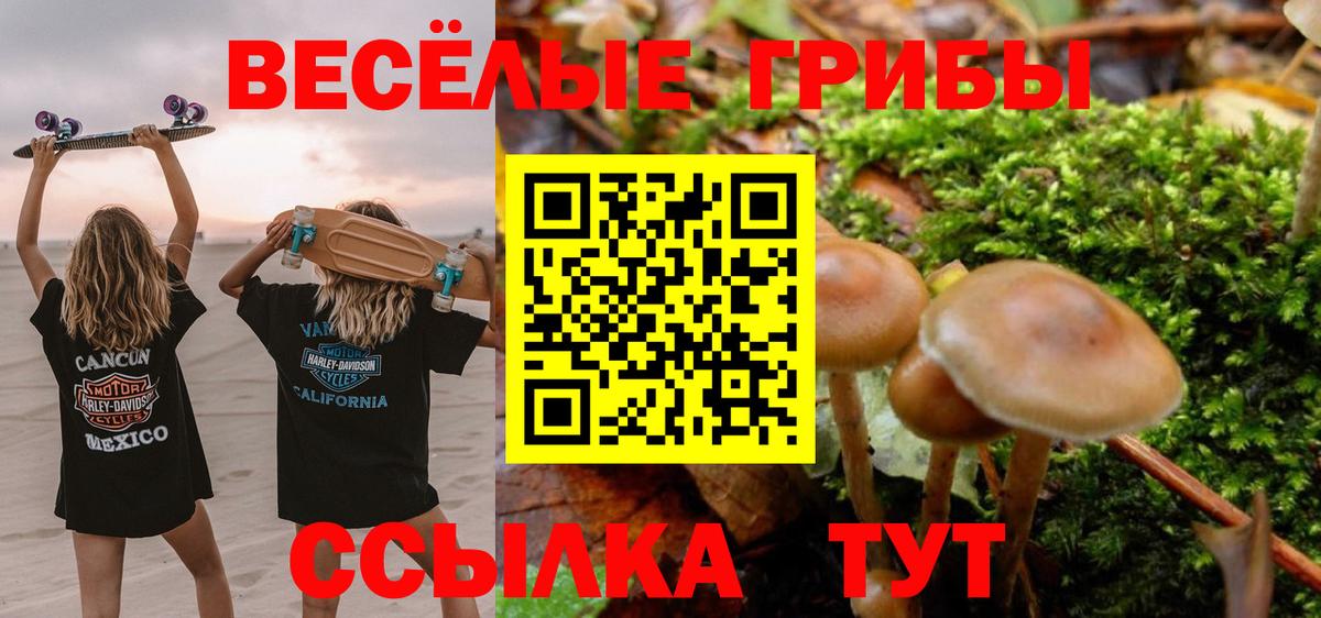 Псилоцибиновые грибы Psilocybine cubensis Сатка